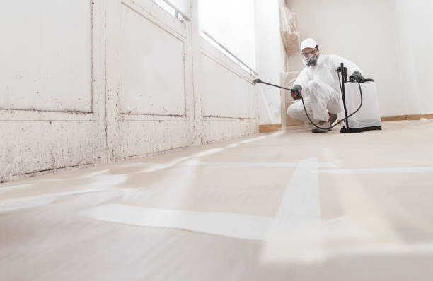 24/7 Emergency Mold Inspection experts in Romeoville, IL