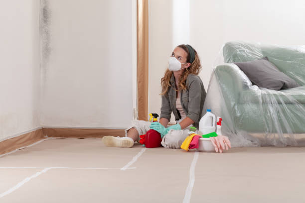 Trusted Mold Inspection service in Romeoville, IL - WQB Mold Removal